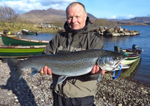 Lough Currane sea trout.jpg